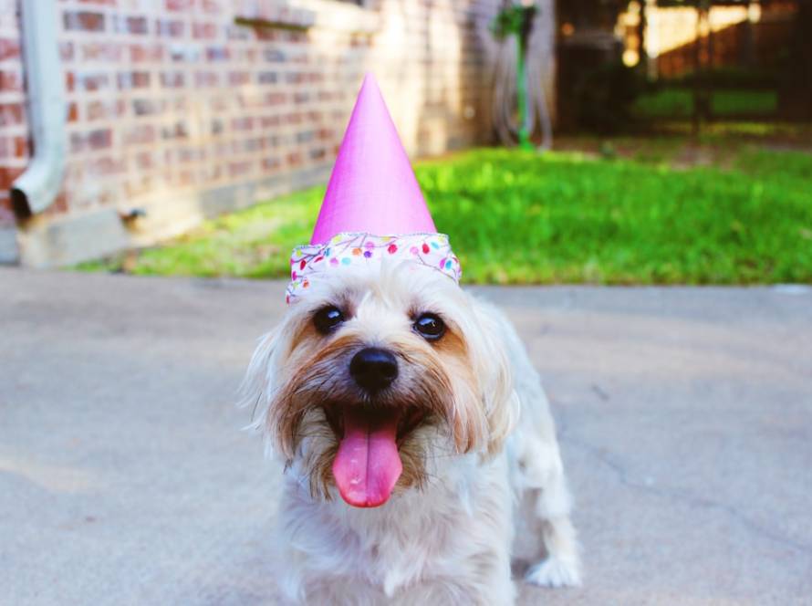 Photo Birthday