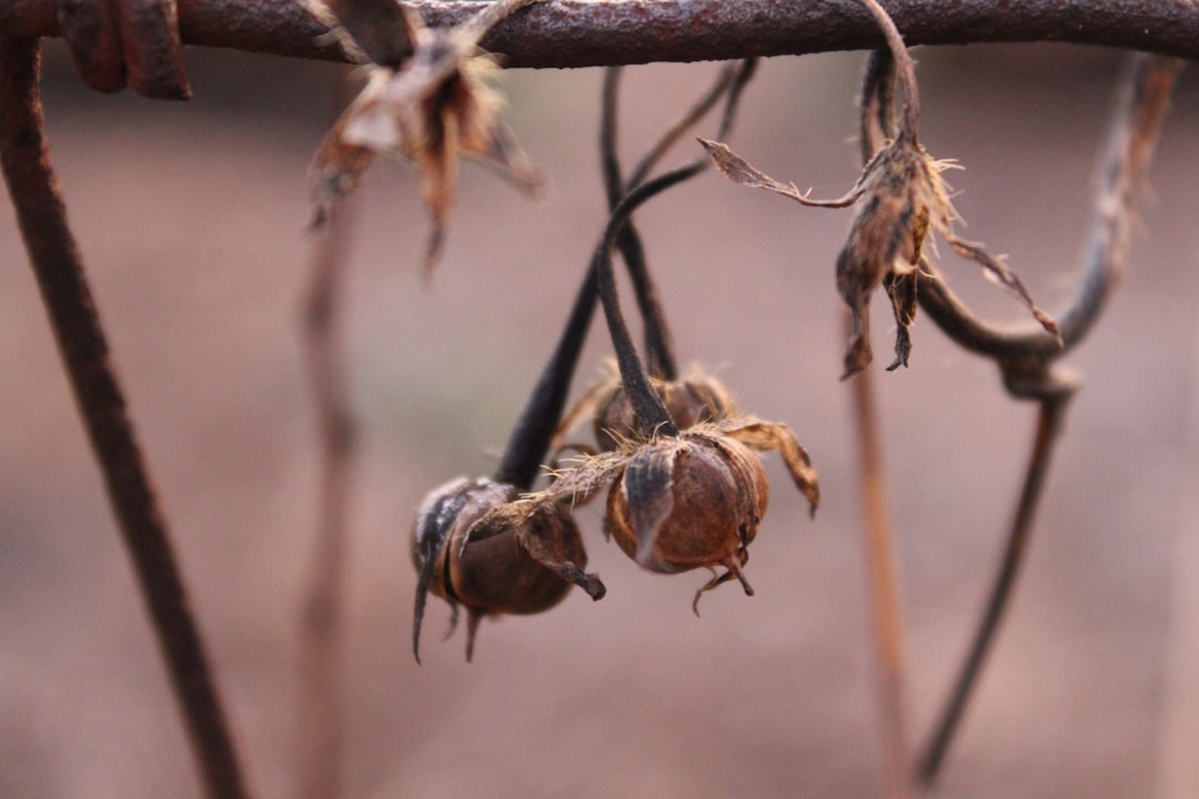 Oficinas pequeñas: Diseño funcional y elegante para espacios reducidos